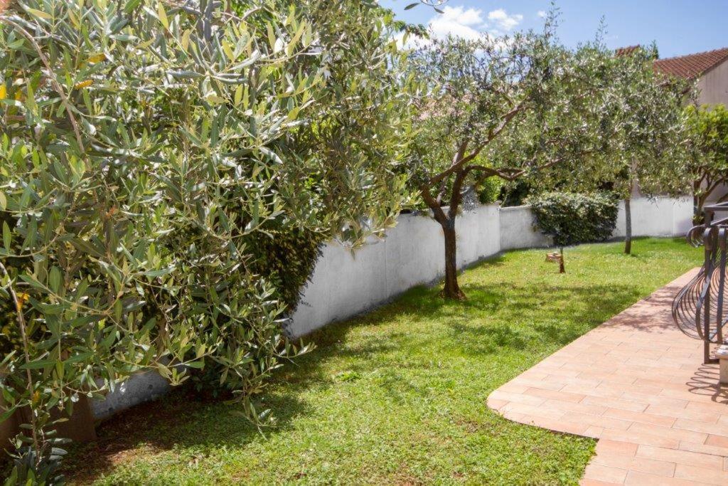 רוביני Villa Sveta Eufemija Bed End Breakfast II מראה חיצוני תמונה